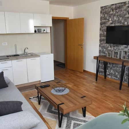 Millenium Apartment Сокобаня Экстерьер фото