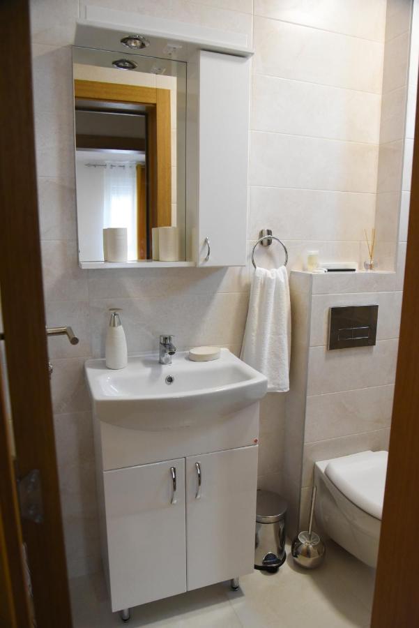 Millenium Apartment Сокобаня Экстерьер фото